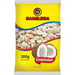 Biscoito Gameleira coquinho 300g