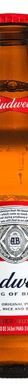 Cerveja Budweiser 330ml
